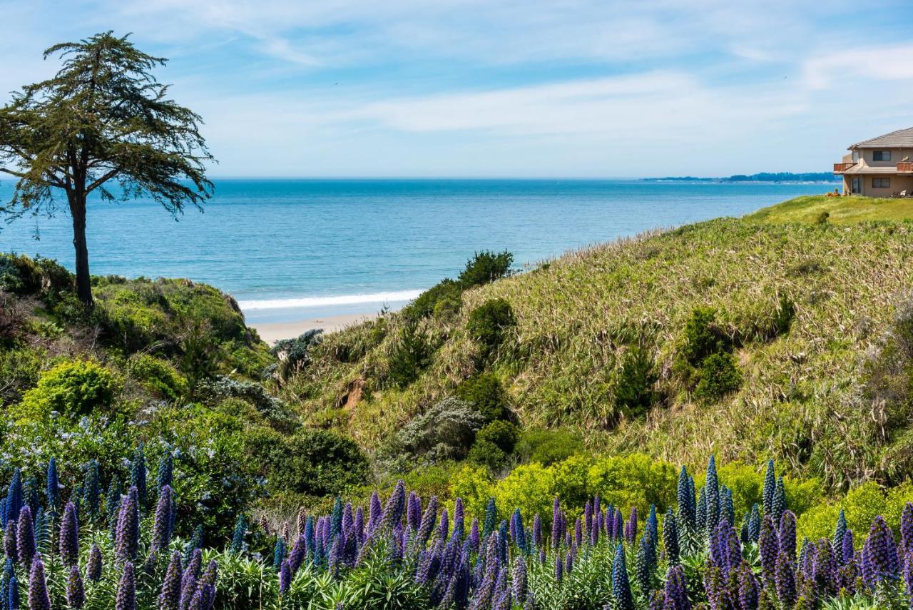 Seascape Beach Resort Aptos Zewnętrze zdjęcie